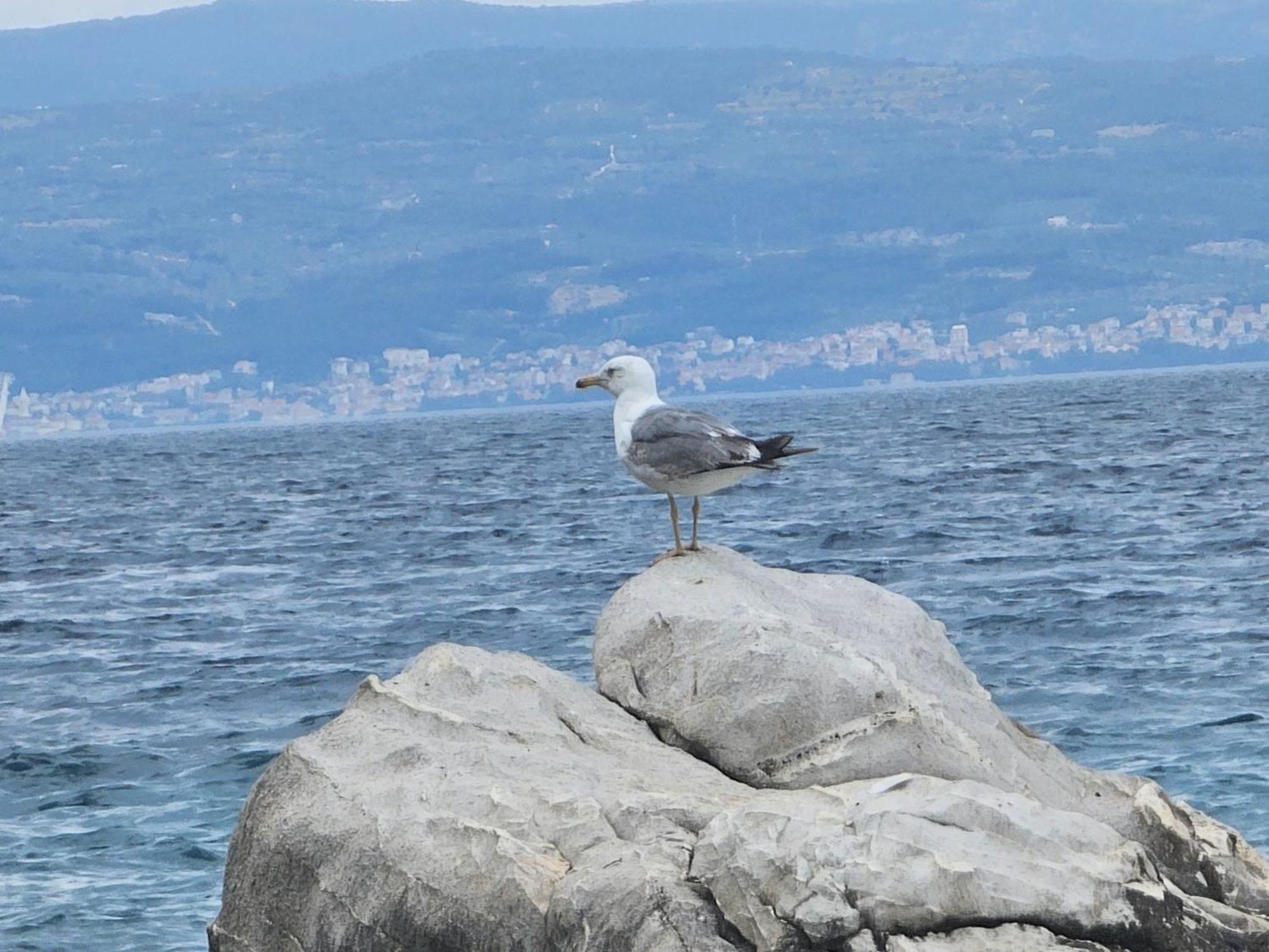 Apartment With A Magical View Split Bagian luar foto